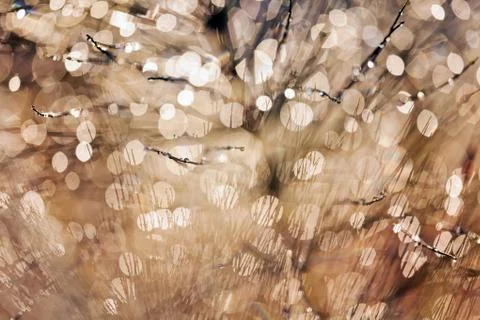 Reflection raindrops Stock Photos