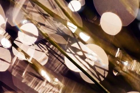 Reflection raindrops Stock Photos