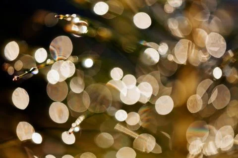 Reflection raindrops Stock Photos