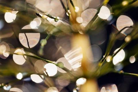 Reflection raindrops Stock Photos