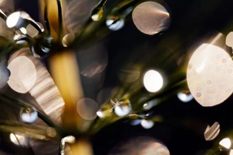 Reflection raindrops Stock Photos