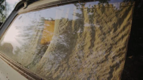 Reflection on the rear window with yellow curtains of an old car Stock Footage 108396444