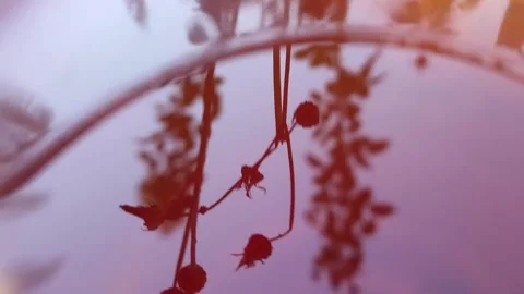 Reflection on red water Stock Footage 165370160