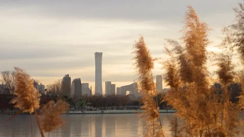 Reflection of reeds on the lake surface of Beijing CBD Chaoyang Park Stock Footage 228813354
