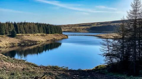 Reflection in the reservoir Stock Photos