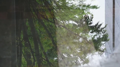 Reflection in rippled puddle after rain Stock Footage 75192520