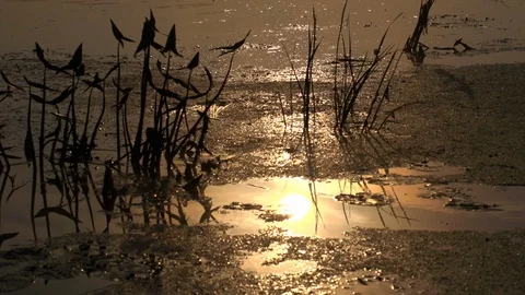 Reflection of the rising sun on the surface of a pond. Close up Stock Footage 105731173