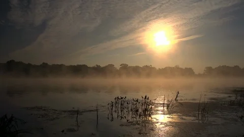 Reflection of the rising sun on the surface of a river on a early foggy morning 스톡 동영상 105734768