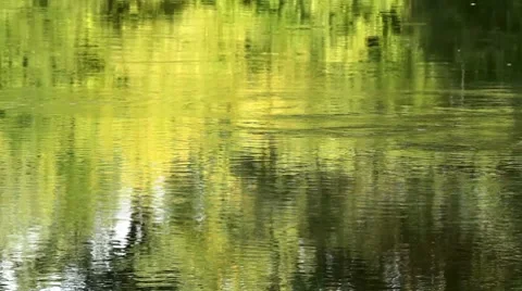 Reflection in a river. Stock Footage 8655343