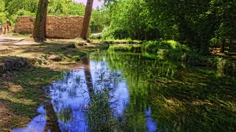 Reflection in the river Stock Footage 46061113