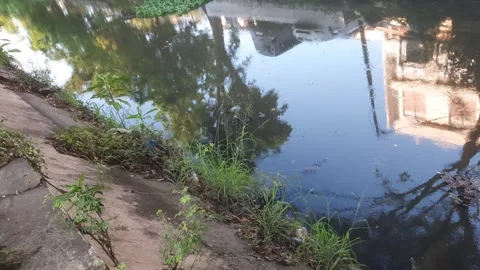 Reflection on the River Video stock 336482354