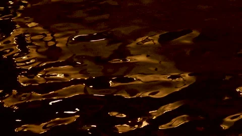 Reflection in the river La Seine Stock Footage 340206560
