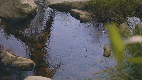Reflection on the river of people hiking Stock Footage 167769047