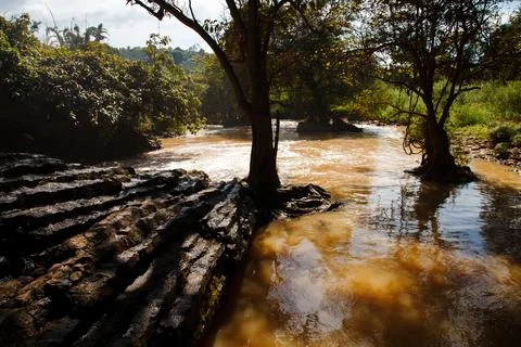 Reflection in the River Photos