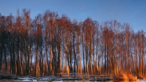 Reflection river winter landscape, golden hour vibrating Stock Footage 225854478