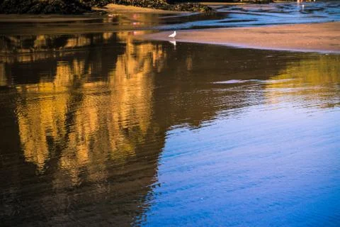 Reflection of rock formations and bright blue sky in mirror of wet black sand. Stock Photos