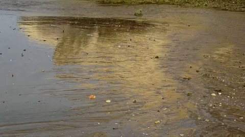 Reflection in Sand, Time-Lapse Stock Footage 73814475