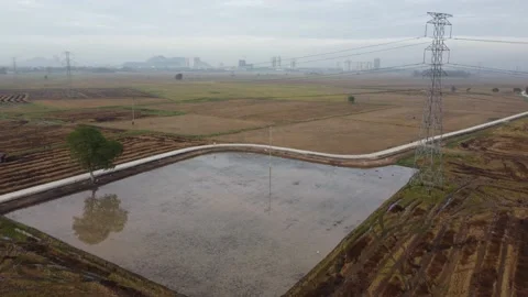 Reflection scenery of paddy field Stock Footage 150205985