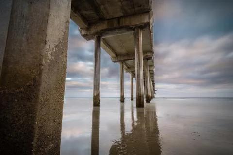 Reflection at Scripps Stock Photos