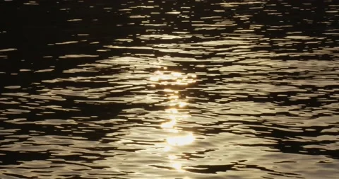 Reflection of the Setting Sun on the Black Sea Surface. Stock Footage 156628761