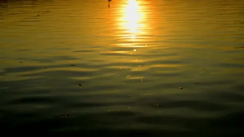 Reflection of the setting sun Video stock 236813725