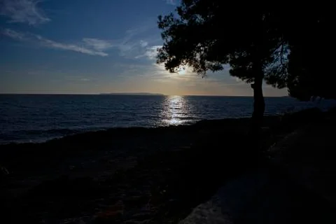 Reflection of a setting sun on sea surface with tree in foreground Stock Photos