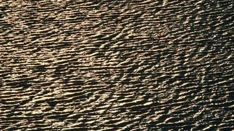 Reflection of the setting sun on the surface of the water Stock Footage 98526919