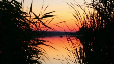 Reflection of the setting sun in the water. Evening landscape. Stock Footage 40725023
