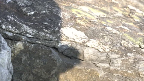 Reflection of a shadow on the rocks Stock-Footage 311527626