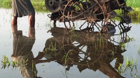 Reflection of shadow in water Stock Footage 287606525