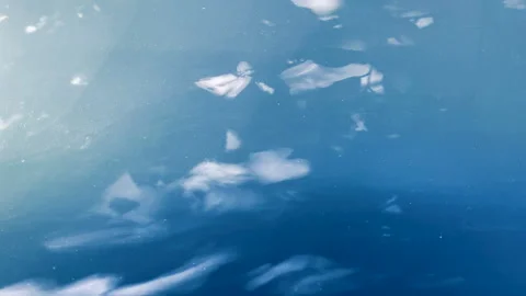 Reflection of Shadows  on the blue background Stock Footage 253053420