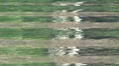 Reflection of the shore in the river 스톡 동영상 92231290