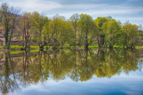 Reflection of the shore trees in the river in the spring. Stock Photos