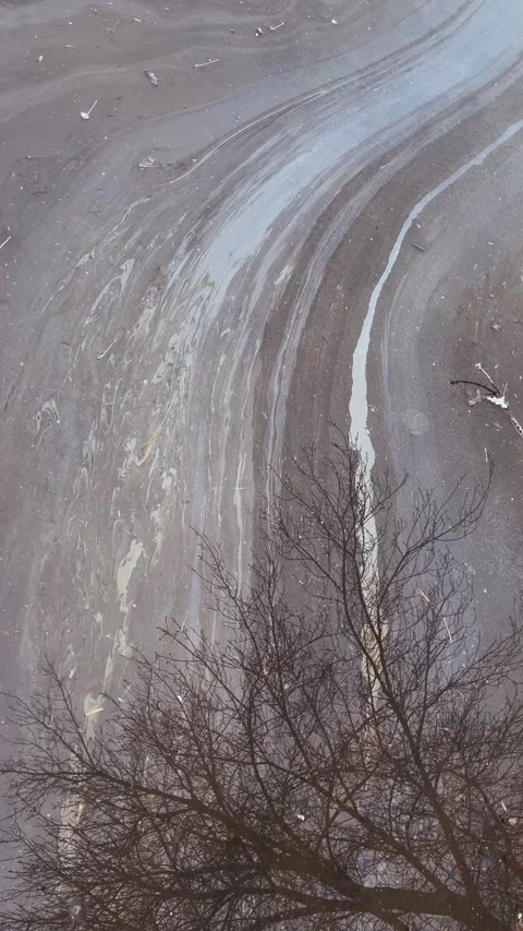 Reflection of the silhouette of a bare winter tree in a puddle on the asphalt Stock Footage 343664593