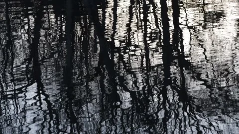 Reflection of silhouette of tall bare trees in rippling water Stock Footage 323847388