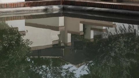 Reflection of silhouettes in a pond Stock Footage 259221887