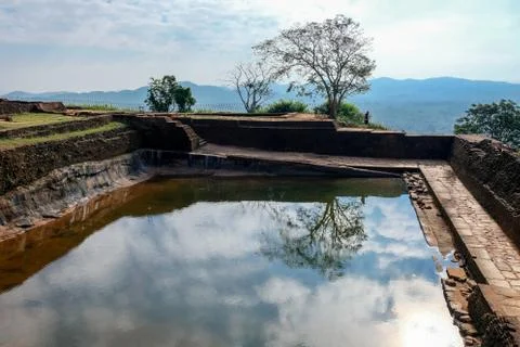 Reflection of a single tree in a natural pool at the top of a famous landmark Stock Photos