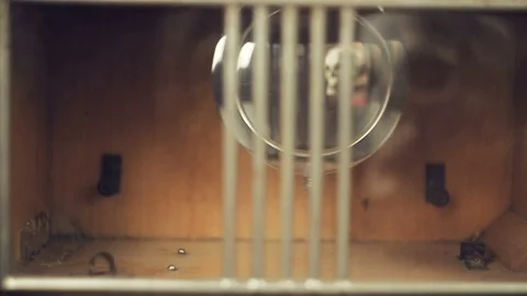 Reflection of the skull and candles in the pendulum of an old clock 库存影片 97864472
