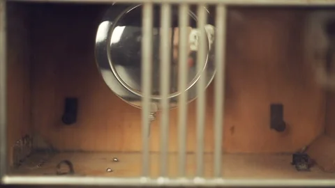 Reflection of the skull and candles in the pendulum of an old clock Stock Footage 108171796