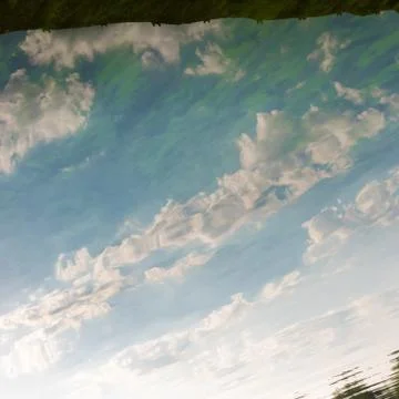 A reflection of the sky in the algae clouded water Stock Photos