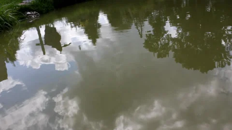 The reflection of the sky and clouds in the lake Stock Footage 35326729