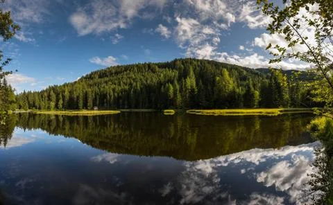 Reflection from sky and forest in a clear mountain lake Stock Photos