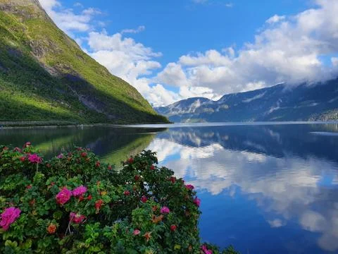 Reflection of the sky and mountains in the blue water of the fjord - Eidfjord Stock Photos