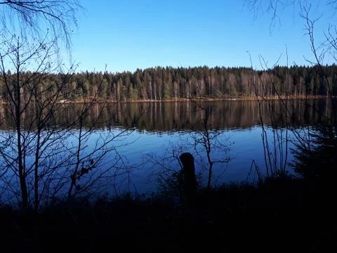 Reflection of sky and trees in the blue water Stock Photos
