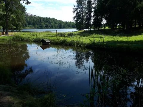 Reflection of sky and trees in the blue water Foto stock