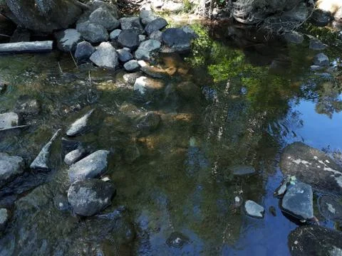 Reflection of the sky and trees in the crystal clear river Foto stock