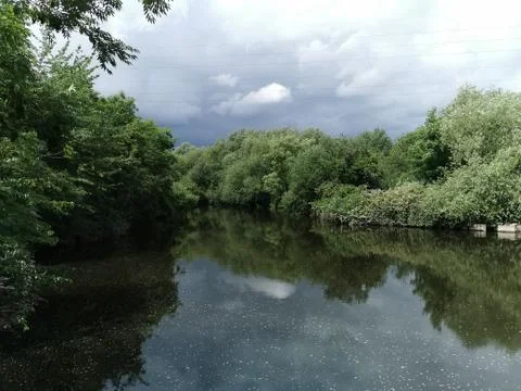 Reflection of sky and trees on the lake Stock Photos