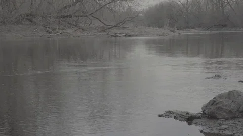 Reflection of the sky and trees in the river. Flat image profile SLOG 3 Stock Footage 106618387