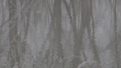 Reflection of the sky and trees in the river. Flat image profile SLOG 3 Vídeos de archivo 106623937