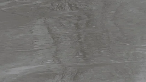 Reflection of the sky and trees in the river. Flat image profile SLOG 3 動画素材 106624115